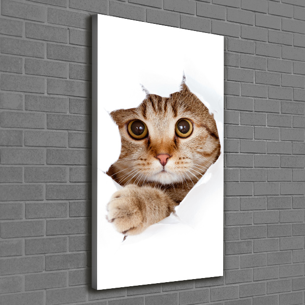 Canvas print Cat