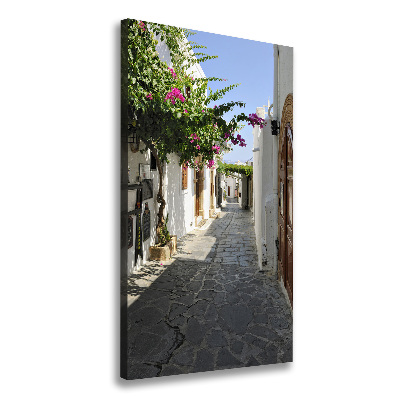 Canvas print Charming path