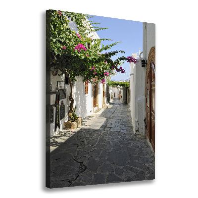 Canvas print Charming path