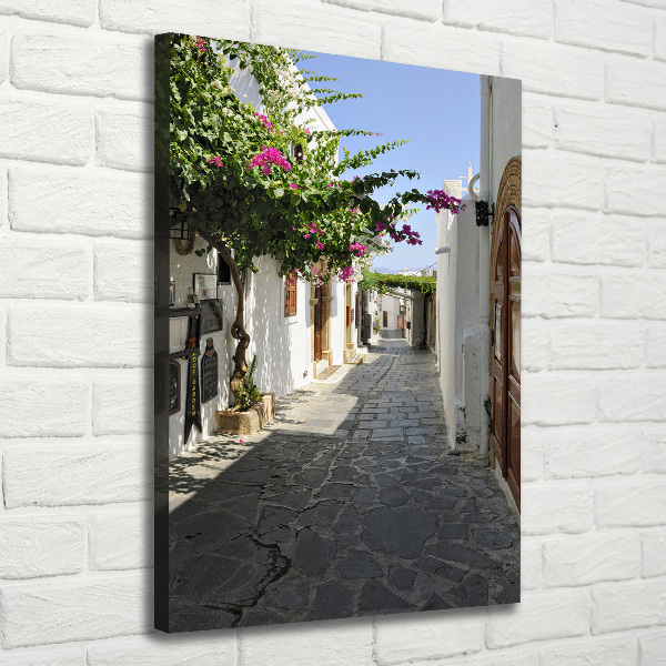 Canvas print Charming path