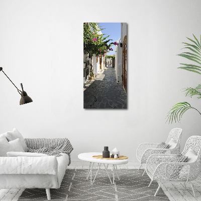 Canvas print Charming path