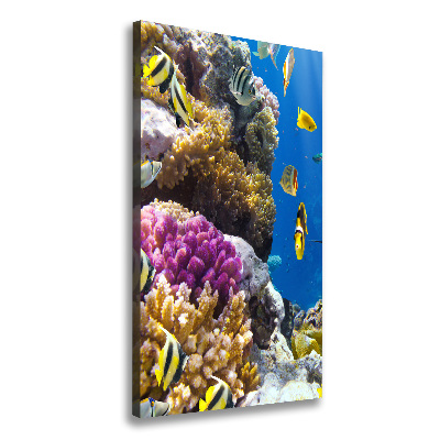 Large canvas wall art Coral reef