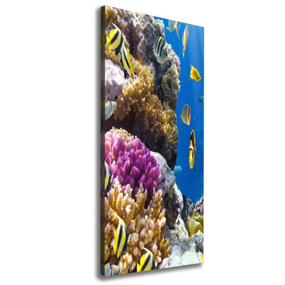 Large canvas wall art Coral reef