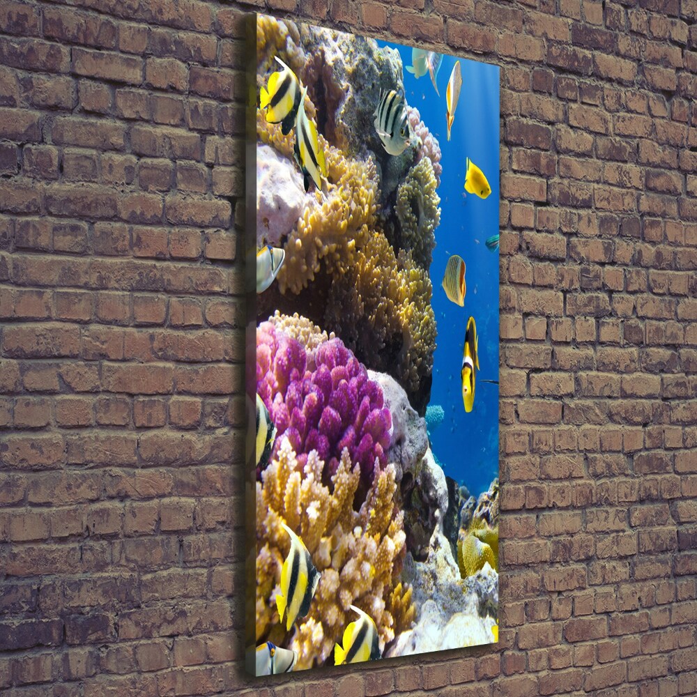 Large canvas wall art Coral reef