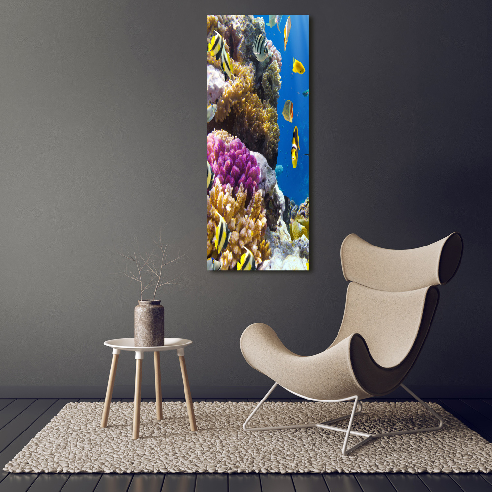 Large canvas wall art Coral reef