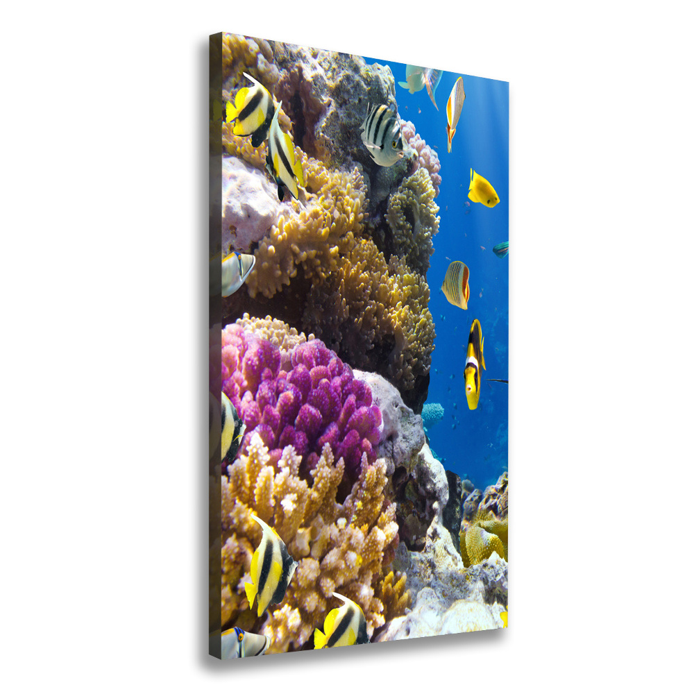 Large canvas wall art Coral reef