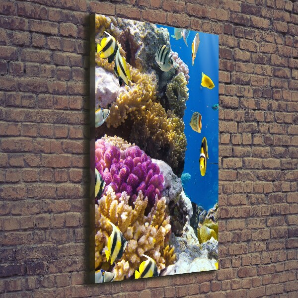 Large canvas wall art Coral reef