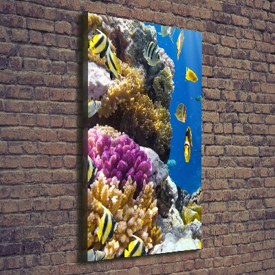 Large canvas wall art Coral reef