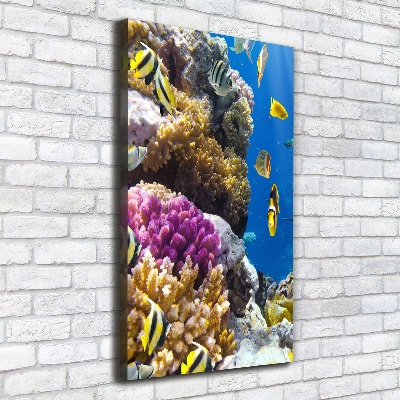 Large canvas wall art Coral reef