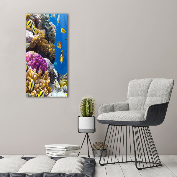 Large canvas wall art Coral reef