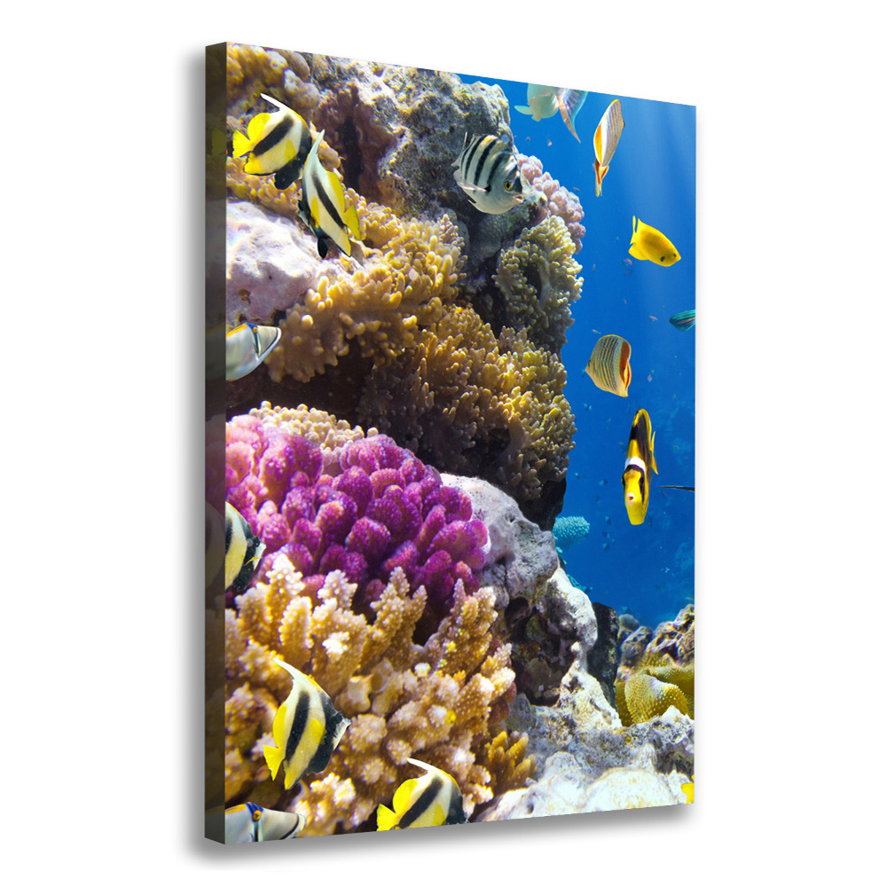 Large canvas wall art Coral reef