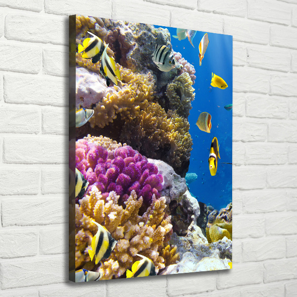 Large canvas wall art Coral reef