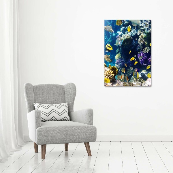 Large canvas wall art Coral reef