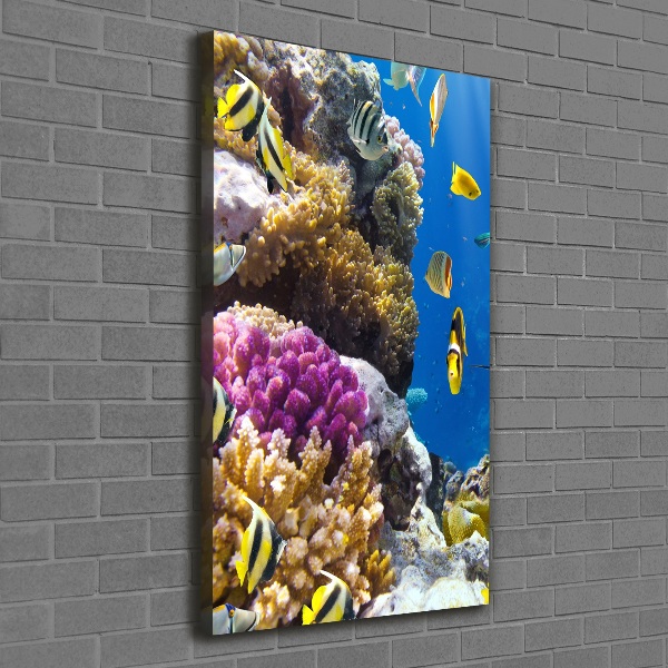 Large canvas wall art Coral reef