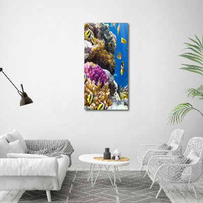 Large canvas wall art Coral reef