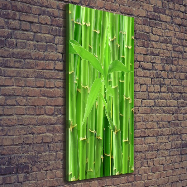 Canvas wall art Bamboo forest