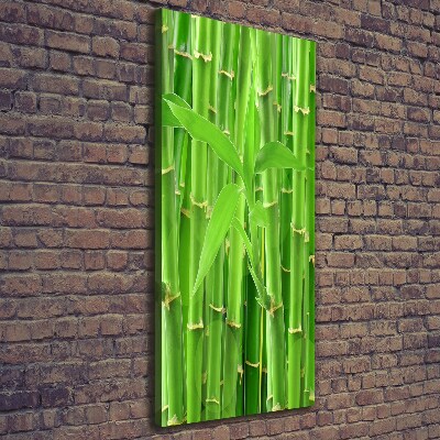 Canvas wall art Bamboo forest