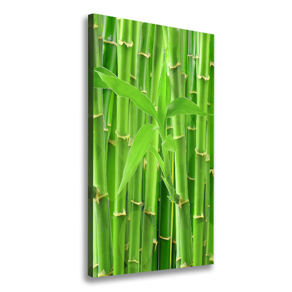 Canvas wall art Bamboo forest