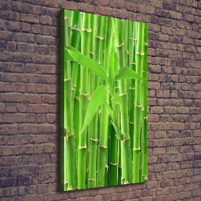 Canvas wall art Bamboo forest