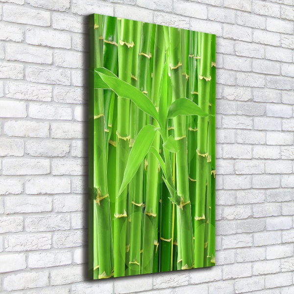 Canvas wall art Bamboo forest