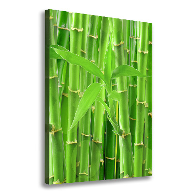 Canvas wall art Bamboo forest