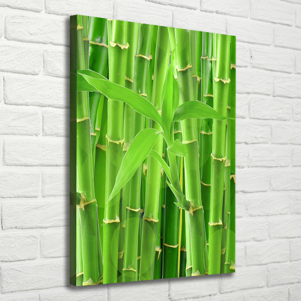 Canvas wall art Bamboo forest