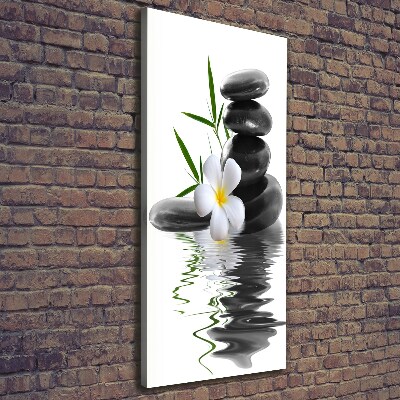 Canvas wall art Orchid and stones