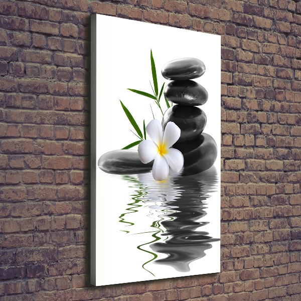 Canvas wall art Orchid and stones