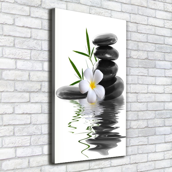 Canvas wall art Orchid and stones