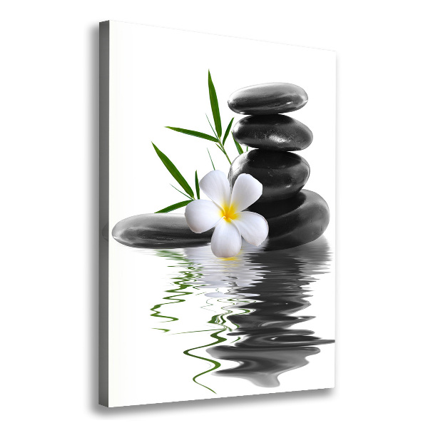 Canvas wall art Orchid and stones