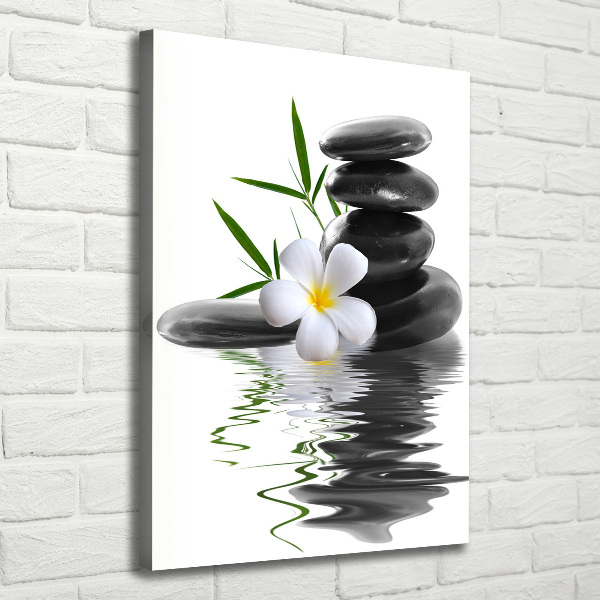 Canvas wall art Orchid and stones