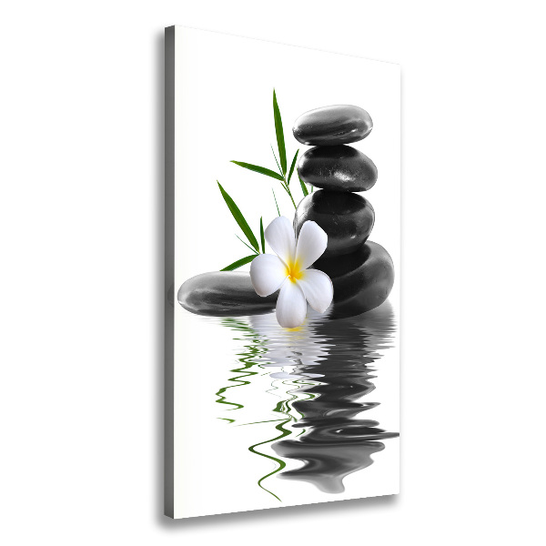 Canvas wall art Orchid and stones