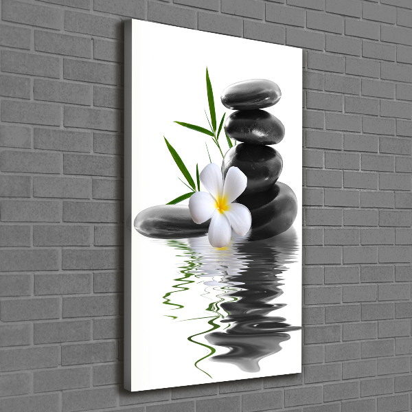 Canvas wall art Orchid and stones