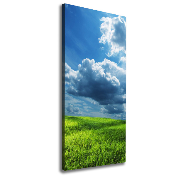 Picture canvas print Clouds above the field