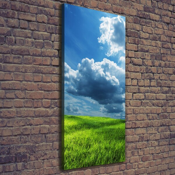 Picture canvas print Clouds above the field