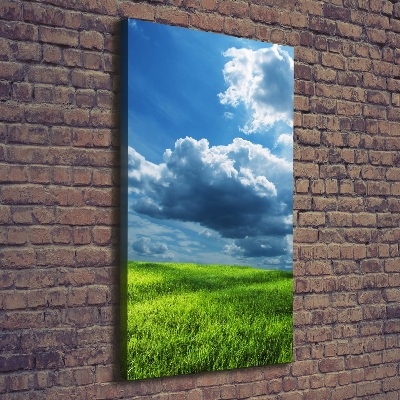 Picture canvas print Clouds above the field