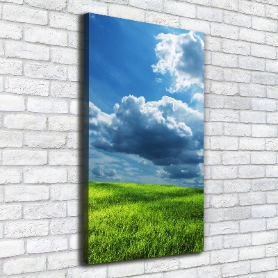 Picture canvas print Clouds above the field