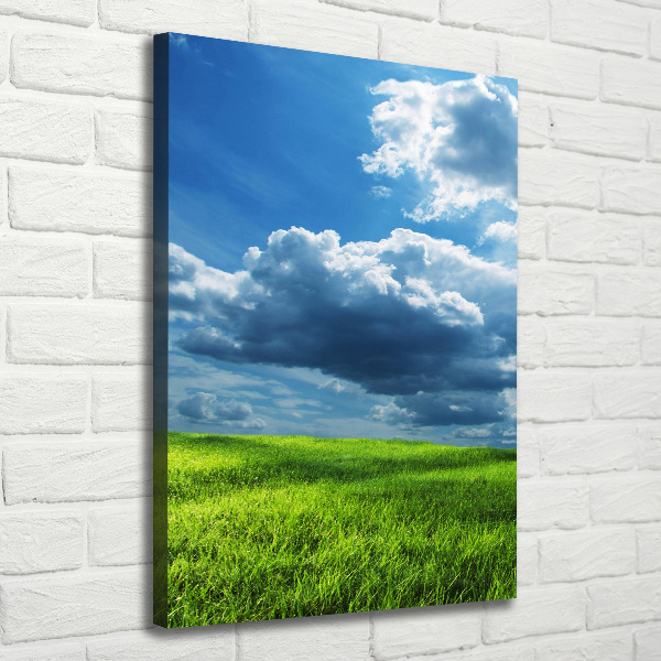 Picture canvas print Clouds above the field