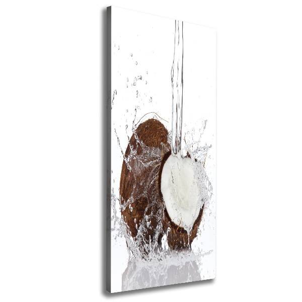 Canvas wall art Coconut