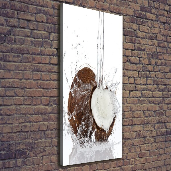 Canvas wall art Coconut