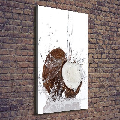 Canvas wall art Coconut