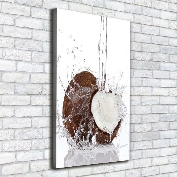 Canvas wall art Coconut