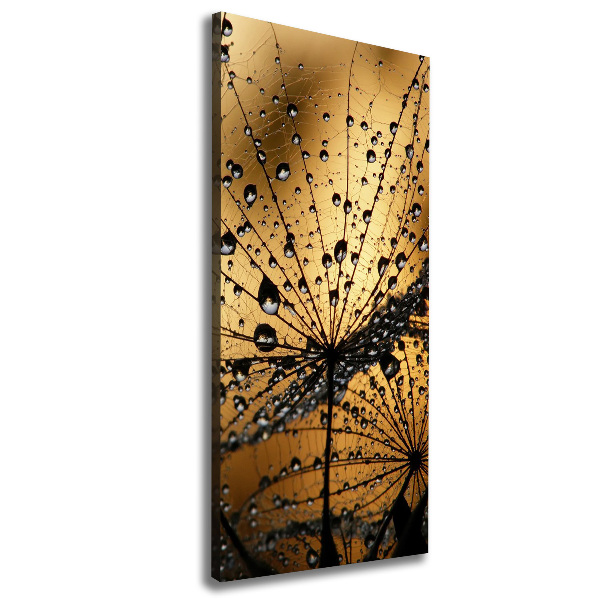 Canvas wall art Dandelion seeds