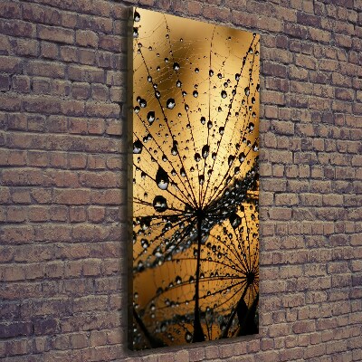 Canvas wall art Dandelion seeds