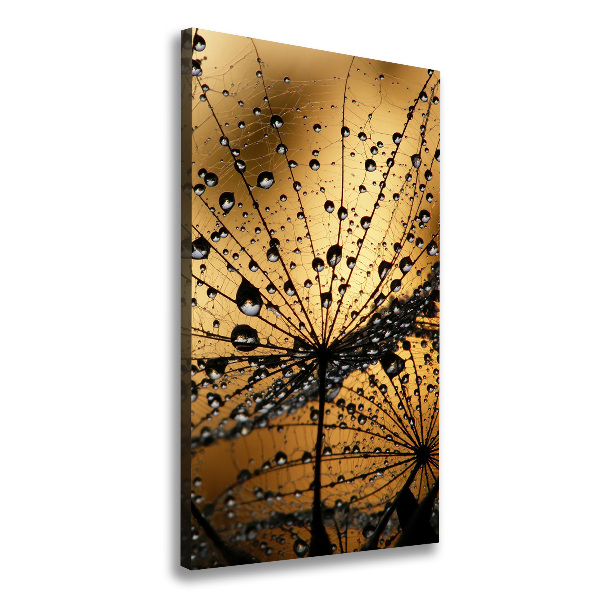 Canvas wall art Dandelion seeds