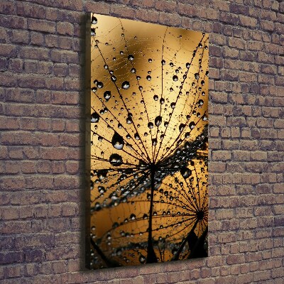 Canvas wall art Dandelion seeds