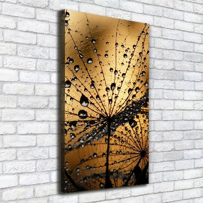 Canvas wall art Dandelion seeds