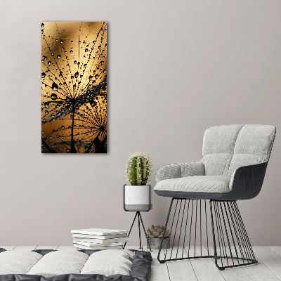 Canvas wall art Dandelion seeds