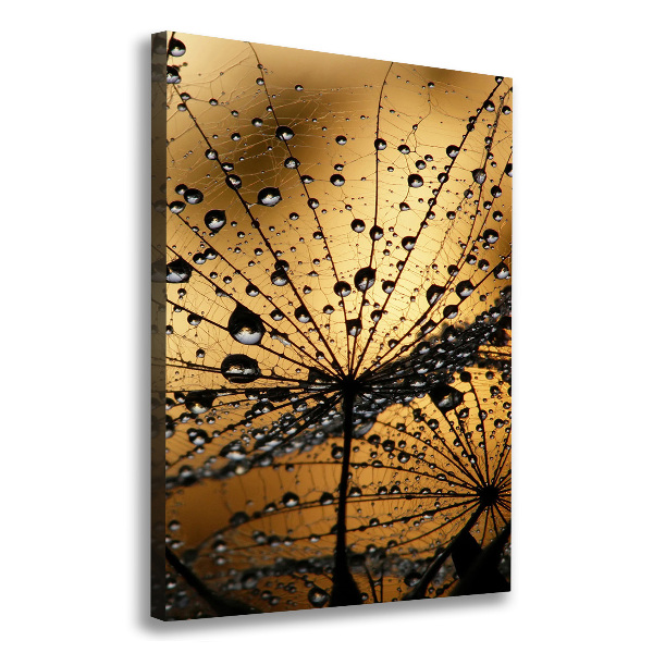 Canvas wall art Dandelion seeds