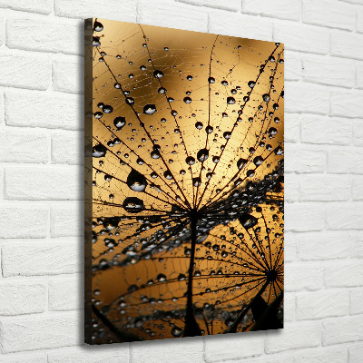 Canvas wall art Dandelion seeds